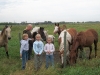 My sisters kids and some colts